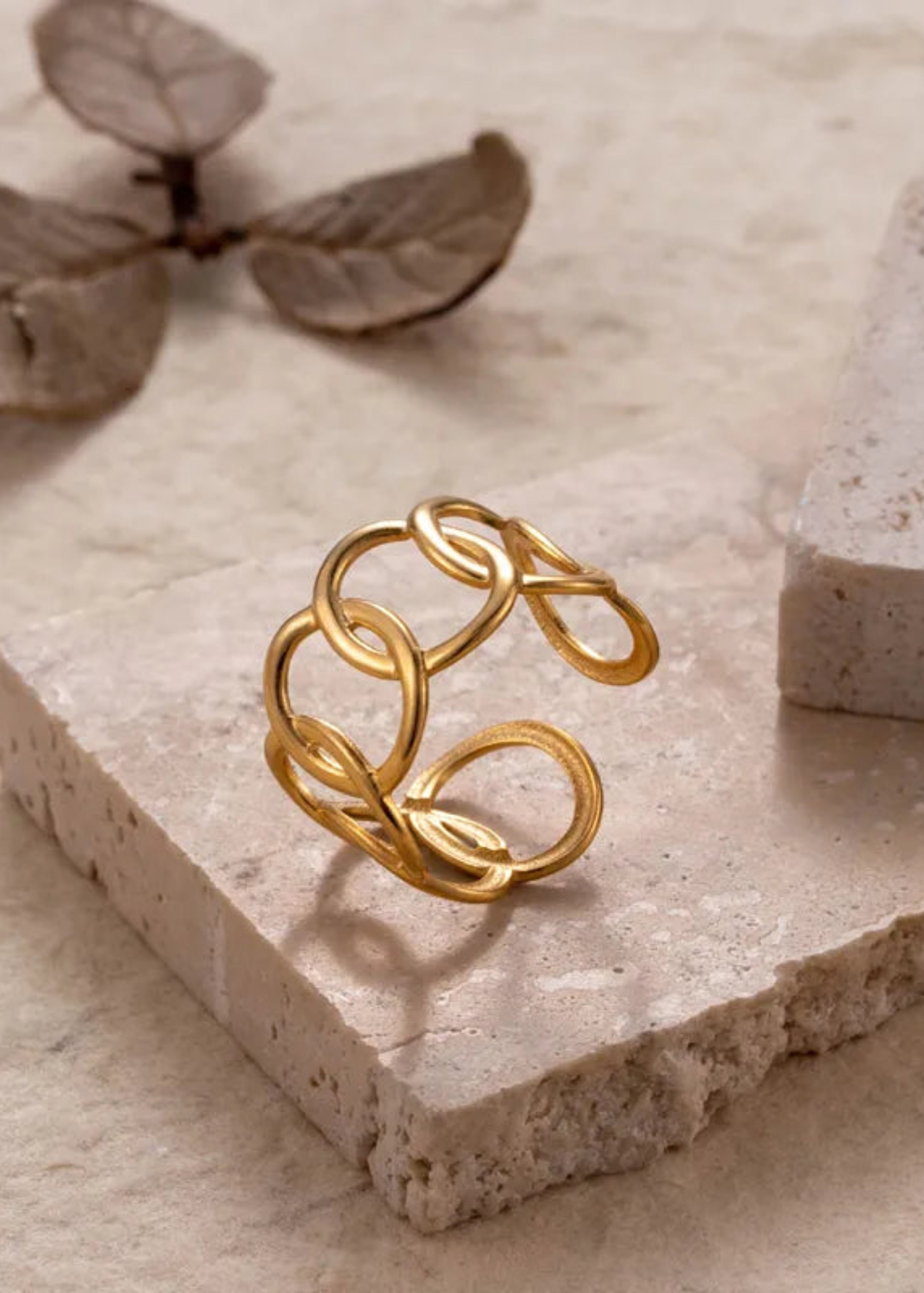 Gold ring on a textured stone surface with dried leaves in the background